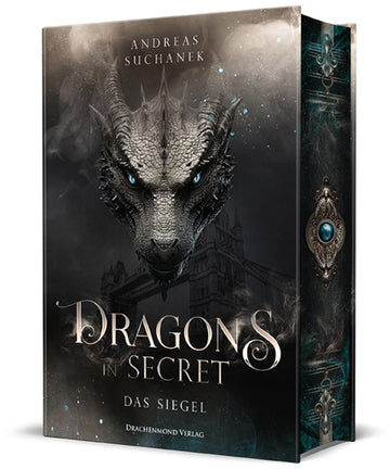 Dragons in Secret - Das Siegel - Schmuckausgabe